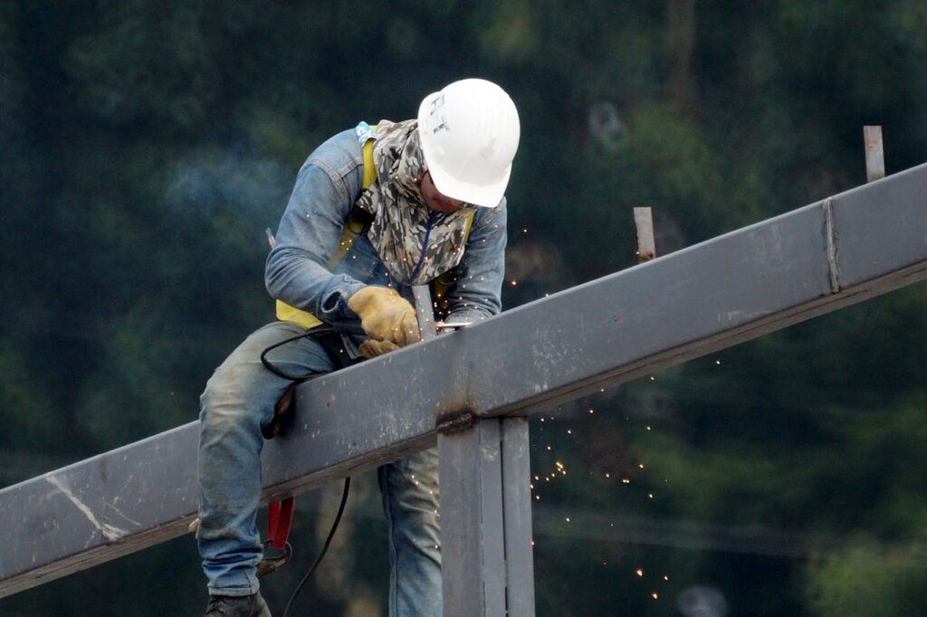 Cedar Steel — Pexels Cesar A Ramirez Vallejo Traphitho 14539147